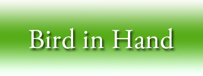 birdinhand_logo